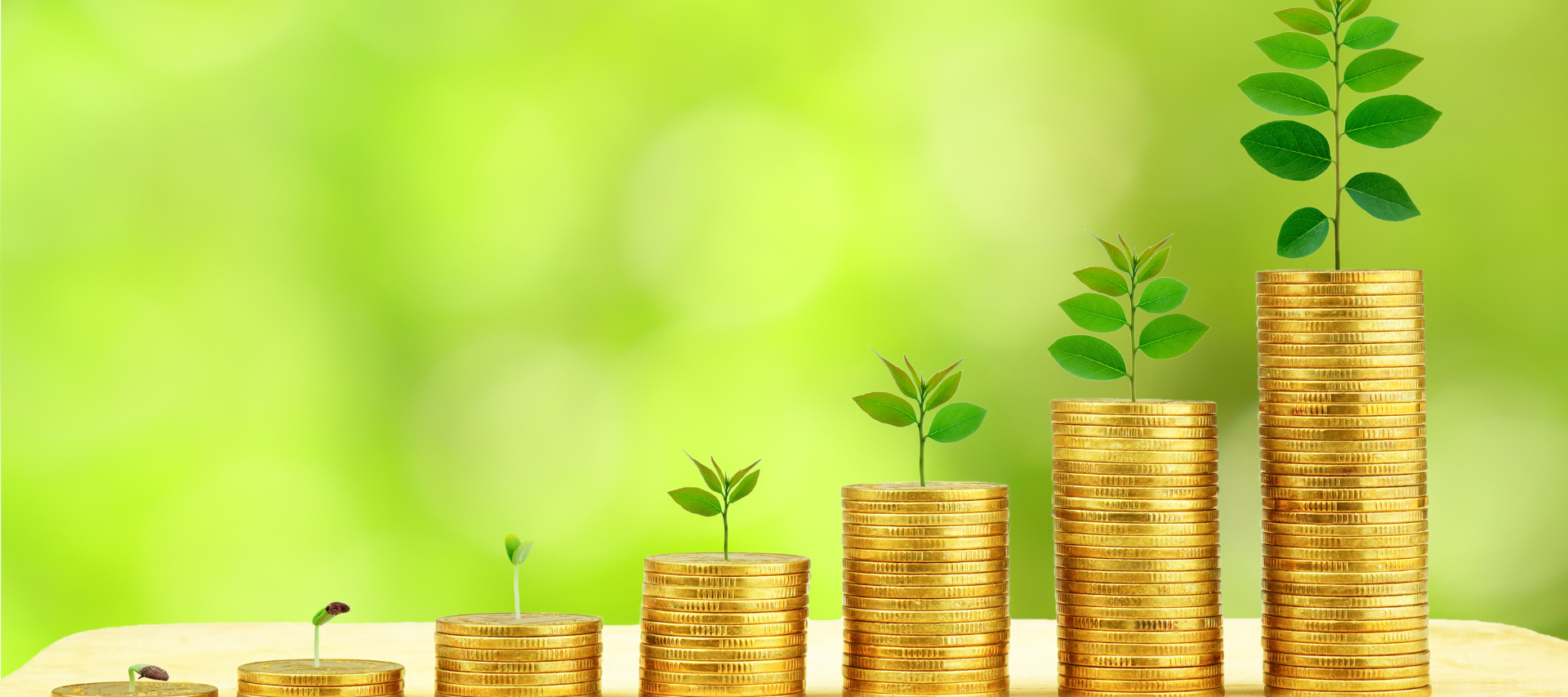 Grants & Funding